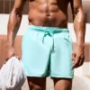 Basic Board Shorts