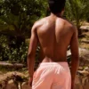 Basic Board Shorts