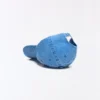 Embroidered Cap