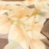 Floral Print Scarf