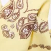 Paisley Print Bandana