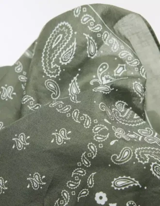 Paisley Print Bandana Paisley Print Bandana